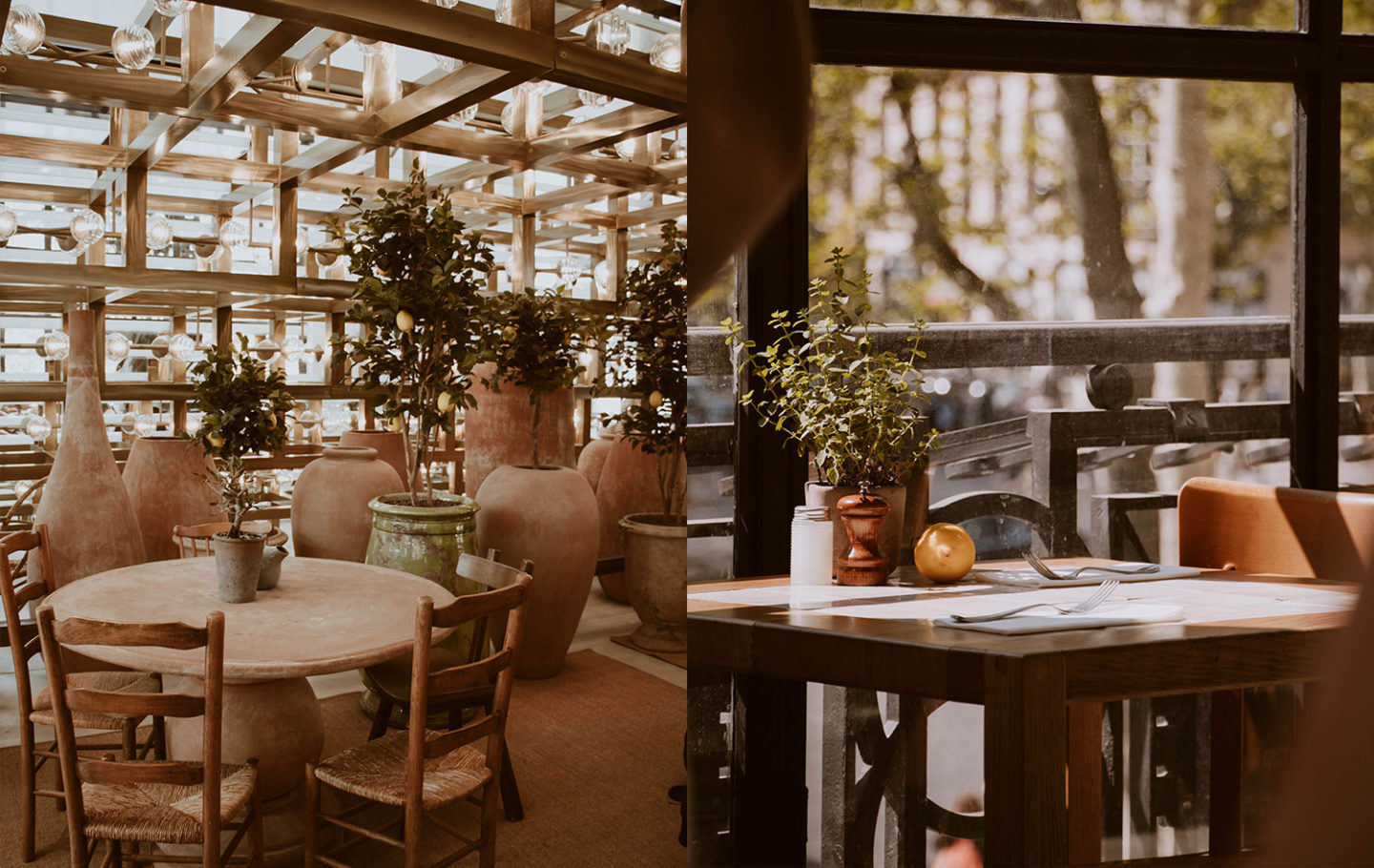 Café Citron Paris - Restaurant Design